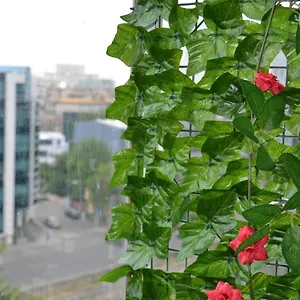 Dreams By The River , Bucureşti România